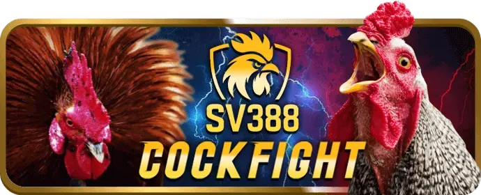 Cá cược thể thao ea888 casino